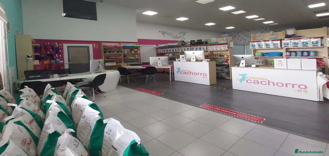 Imagen de galería {{count}}