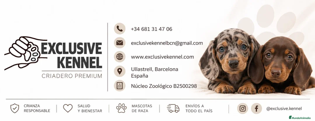 Imagen de galería {{count}}