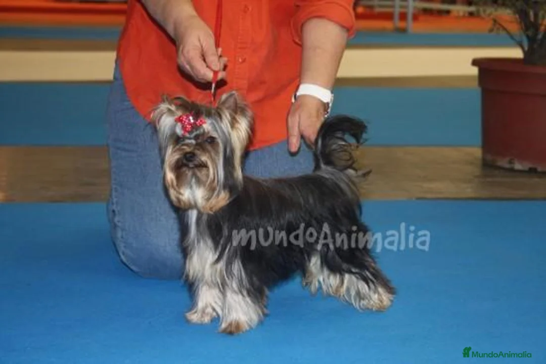 Imagen de galería {{count}}