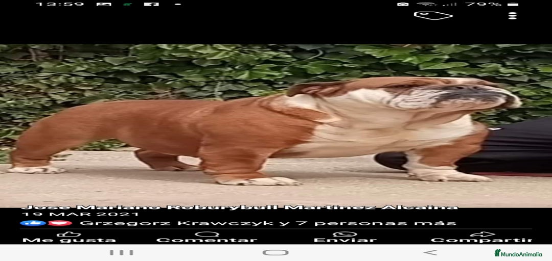 Imagen de galería {{count}}