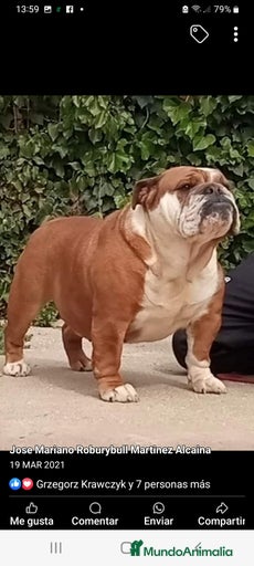 Imagen de galería {{count}}