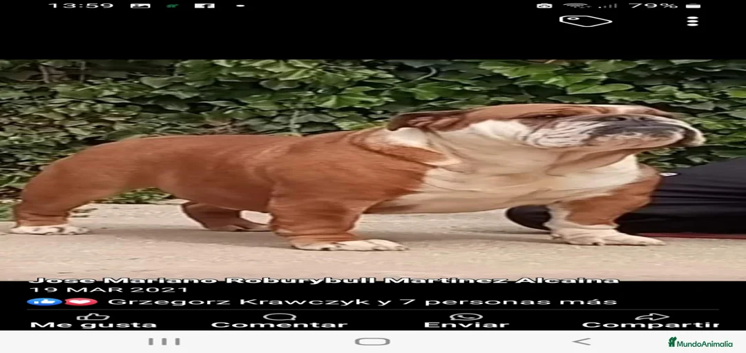 Imagen de galería {{count}}