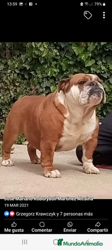 Imagen de galería {{count}}