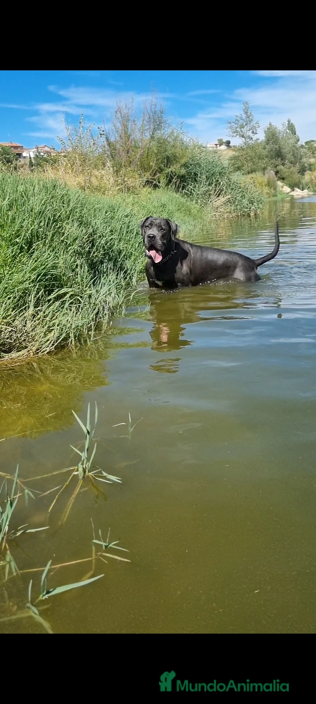 Imagen de galería {{count}}