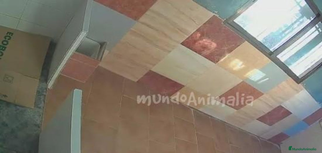 Imagen de galería {{count}}