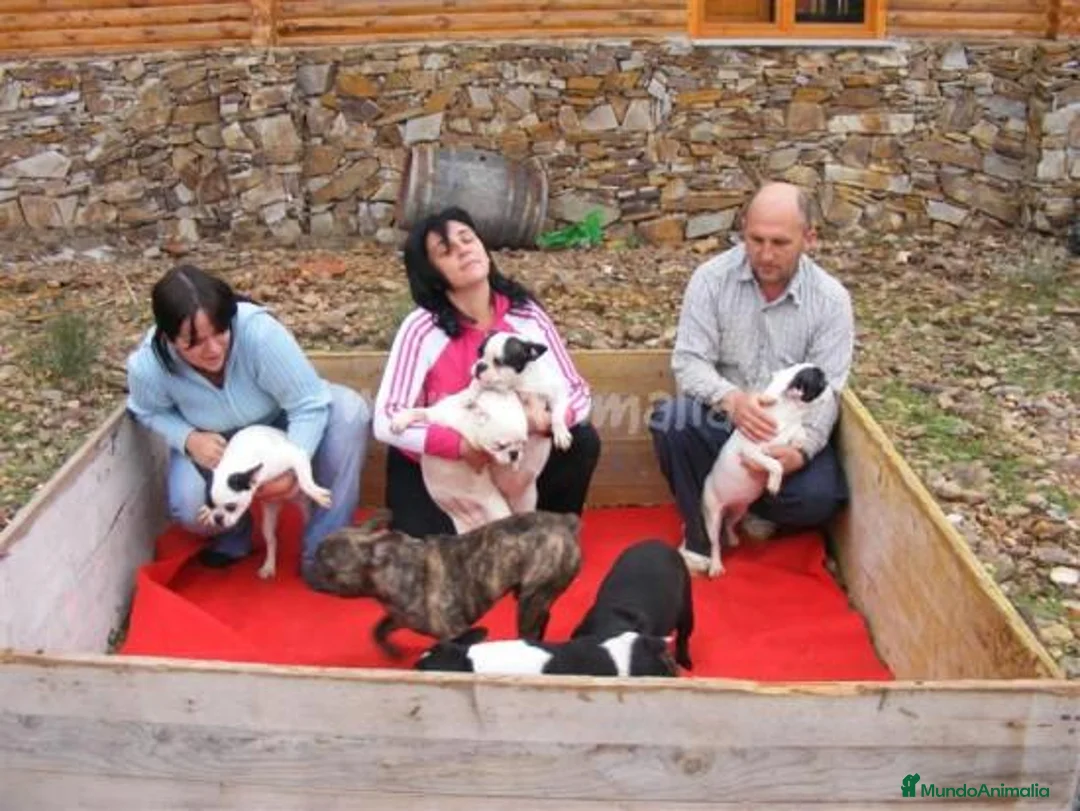 Imagen de galería {{count}}