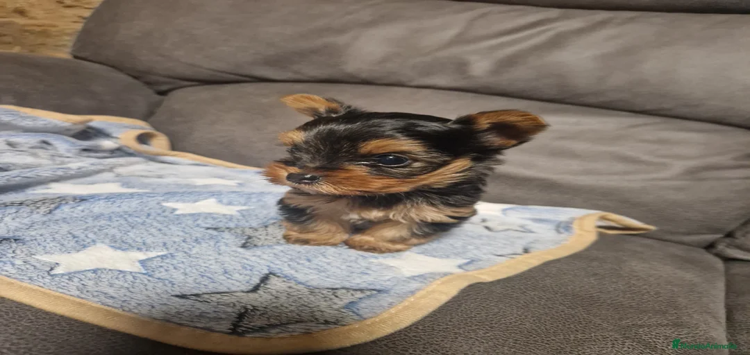 Imagen de galería {{count}}