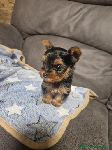 Imagen de galería {{count}}