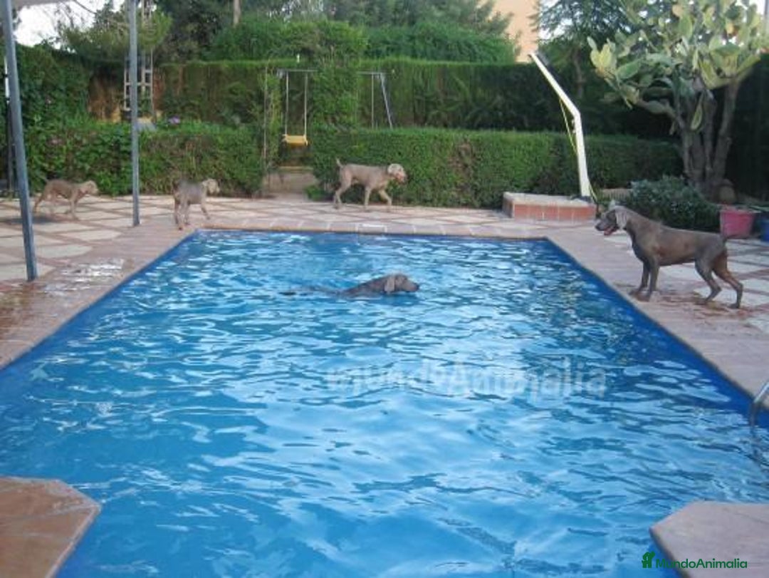 Imagen de galería {{count}}