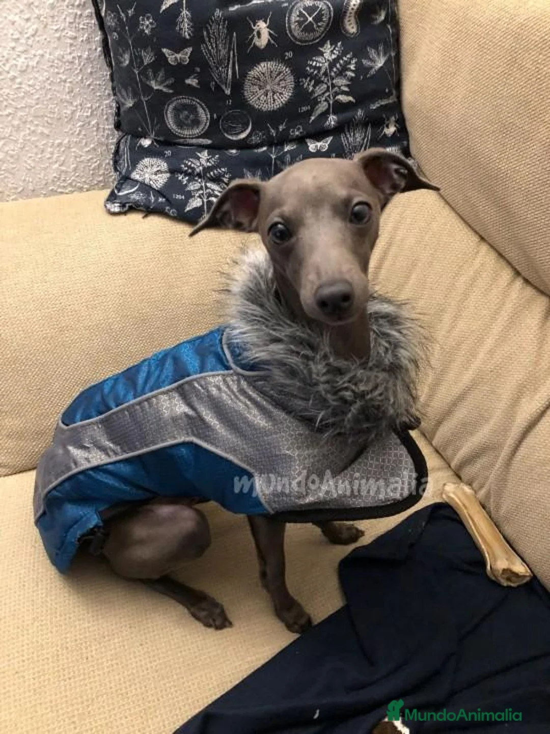 Imagen de galería {{count}}