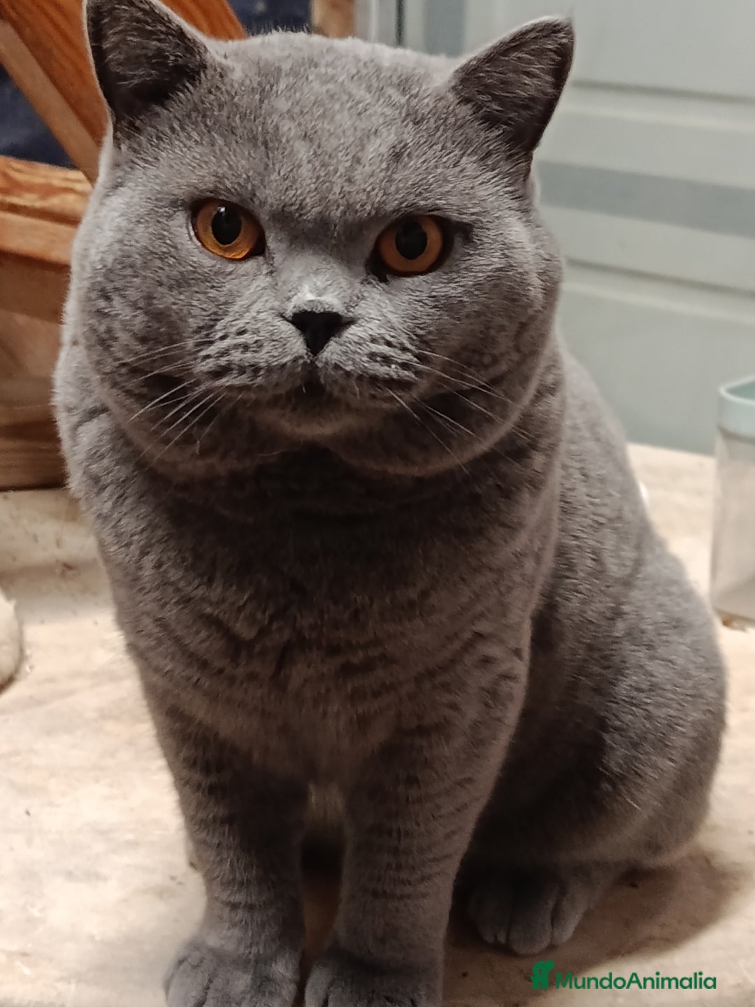 Imagen de galería {{count}}