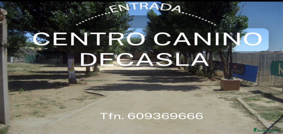 Imagen de galería {{count}}