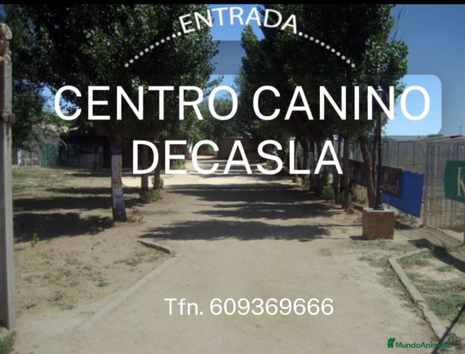 Imagen de galería {{count}}