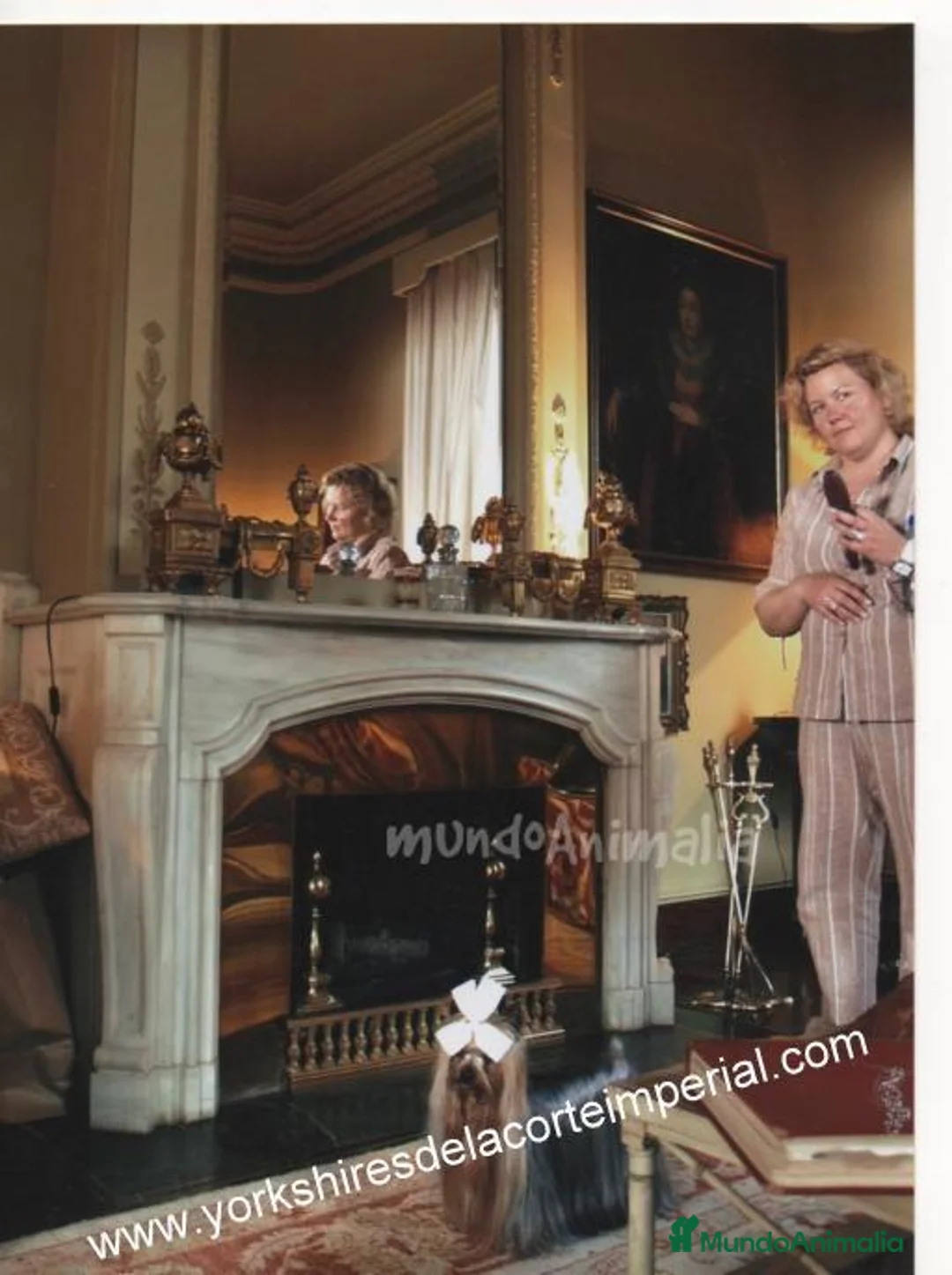 Imagen de galería {{count}}