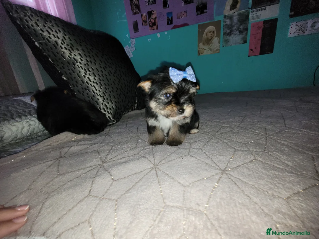 Imagen de galería {{count}}