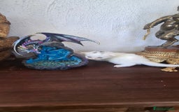 Europeo de Pelo Corto gatos en venta: Gatito blanco pelo semilargo - Imagen 5