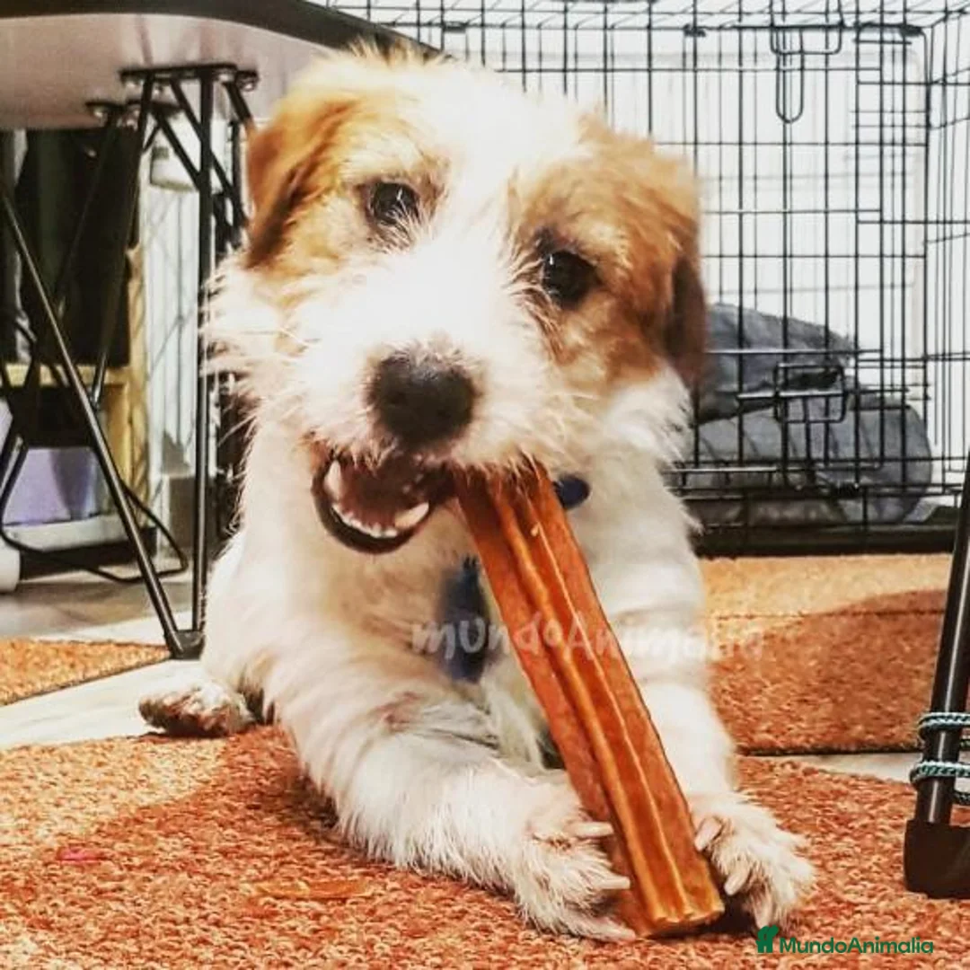 Imagen de galería {{count}}