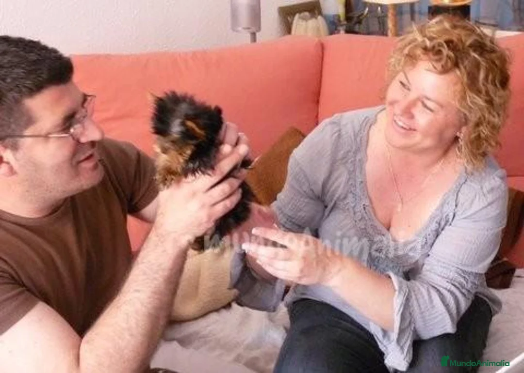 Imagen de galería {{count}}