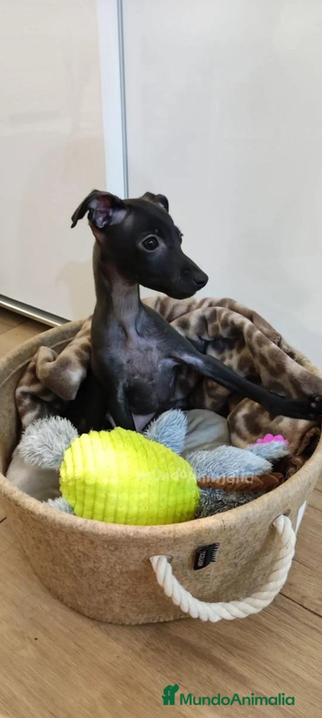 Imagen de galería {{count}}