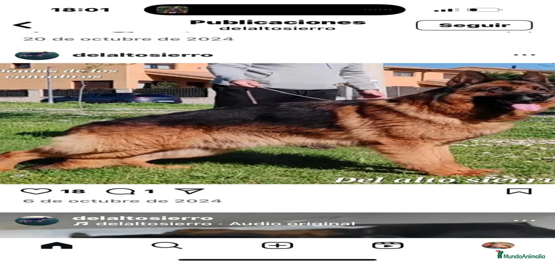 Imagen de galería {{count}}