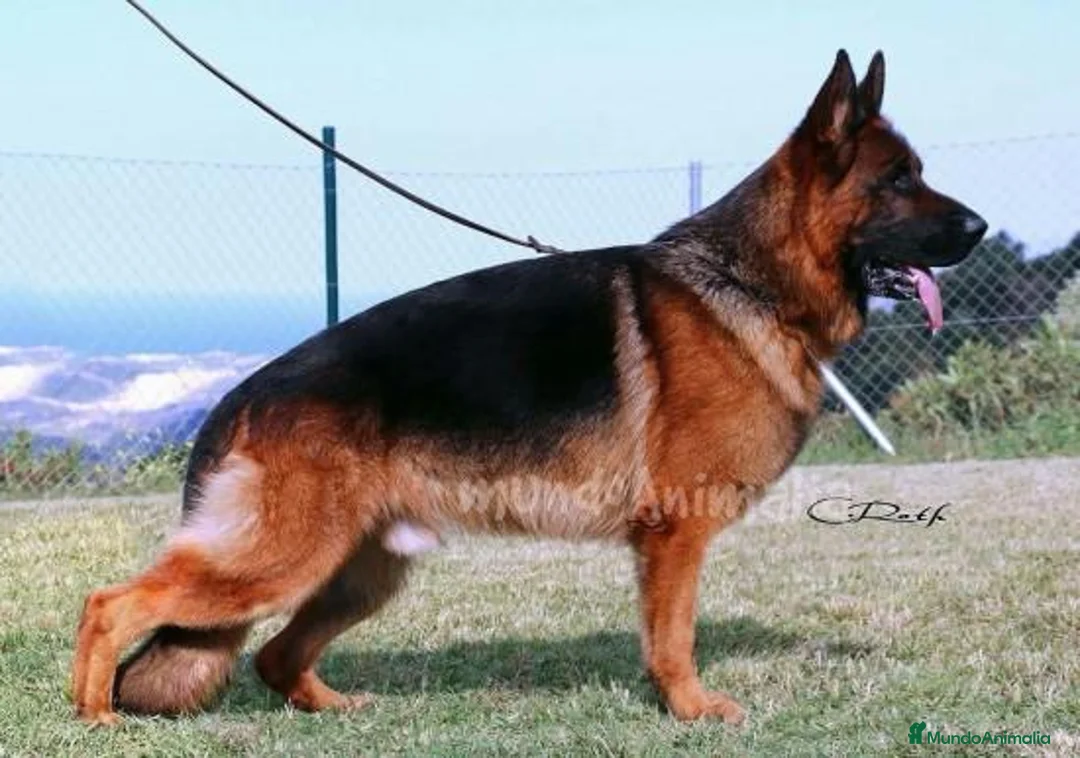 Imagen de galería {{count}}