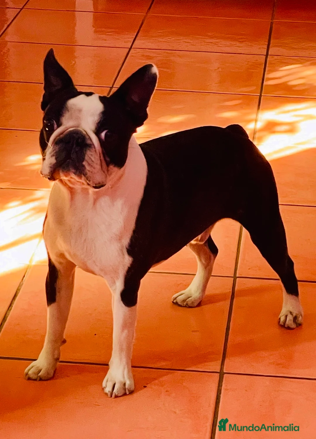 Imagen de galería {{count}}