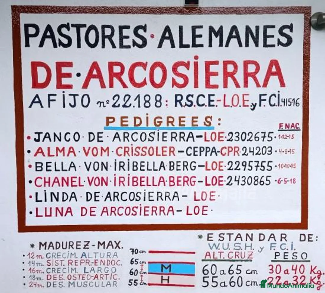 Imagen de galería {{count}}