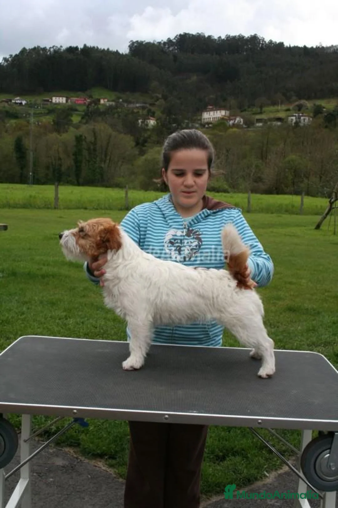 Imagen de galería {{count}}