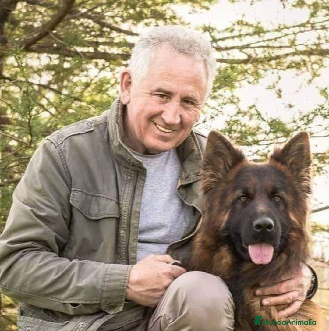 Imagen de galería {{count}}