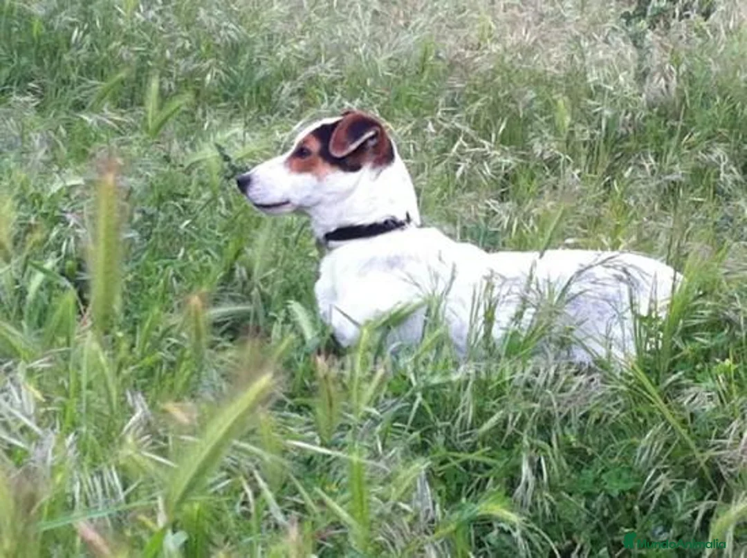 Imagen de galería {{count}}