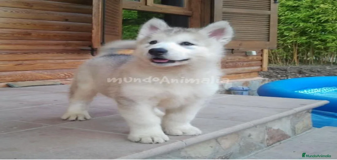 Imagen de galería {{count}}