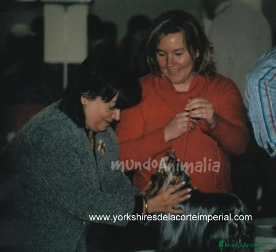 Imagen de galería {{count}}