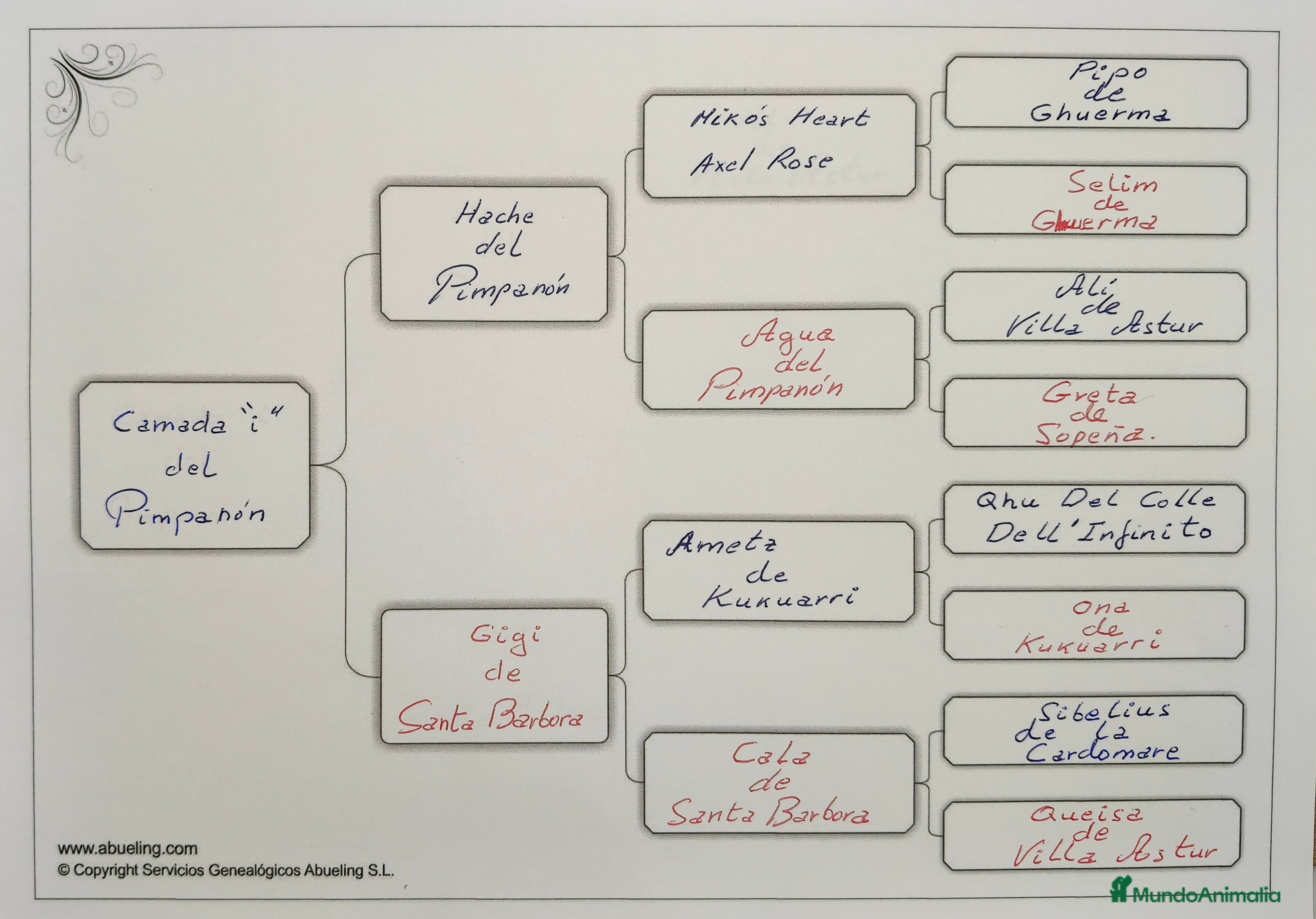 Boxer perros Bóxer del Pimpanón Camada &quot;i&quot; - Anuncio 16