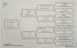 Boxer perros en venta: Bóxer del Pimpanón Camada "i" - Anuncio 3