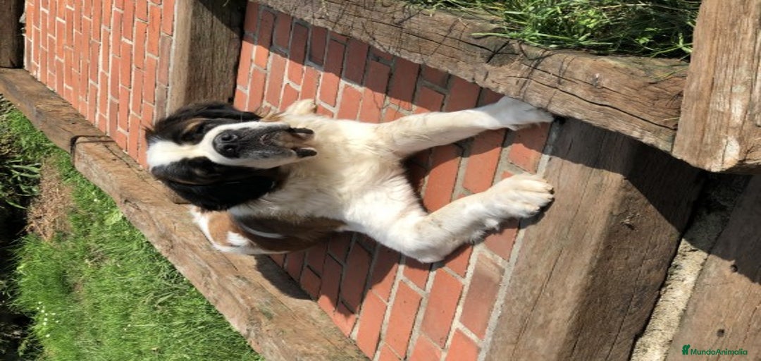 Imagen de galería {{count}}