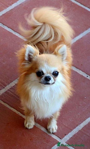 Imagen de galería {{count}}