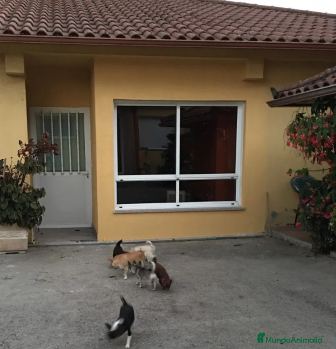 Imagen de galería {{count}}