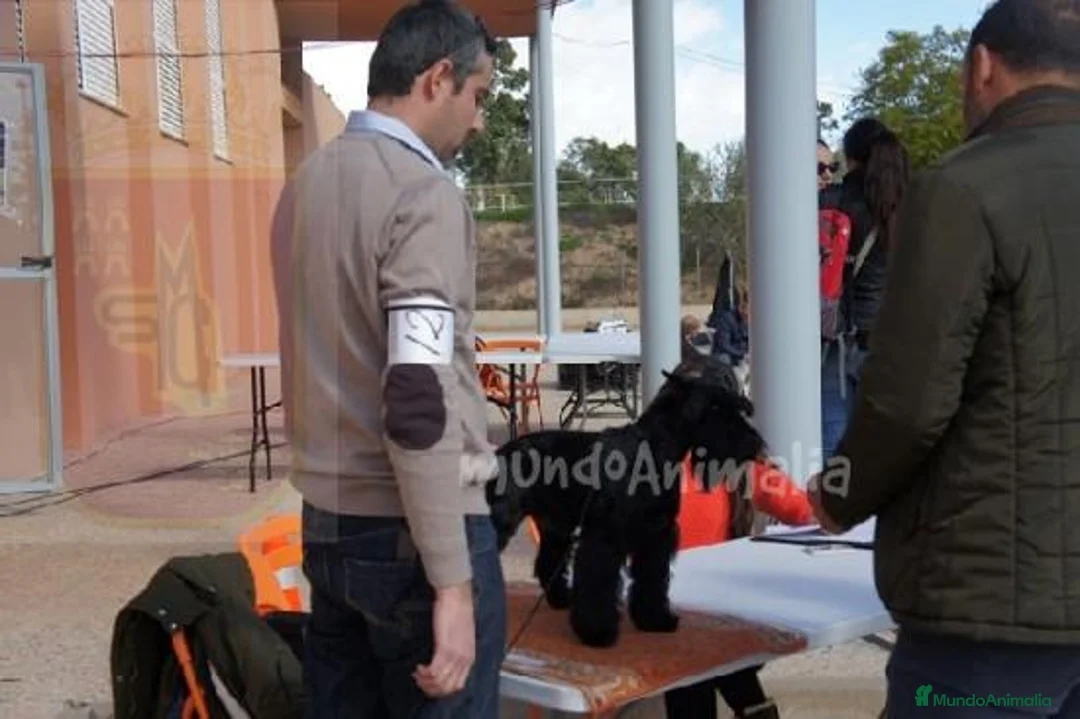 Imagen de galería {{count}}