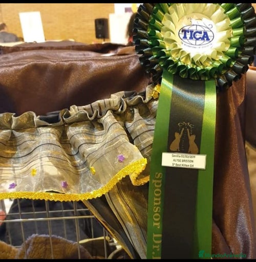 Imagen de galería {{count}}