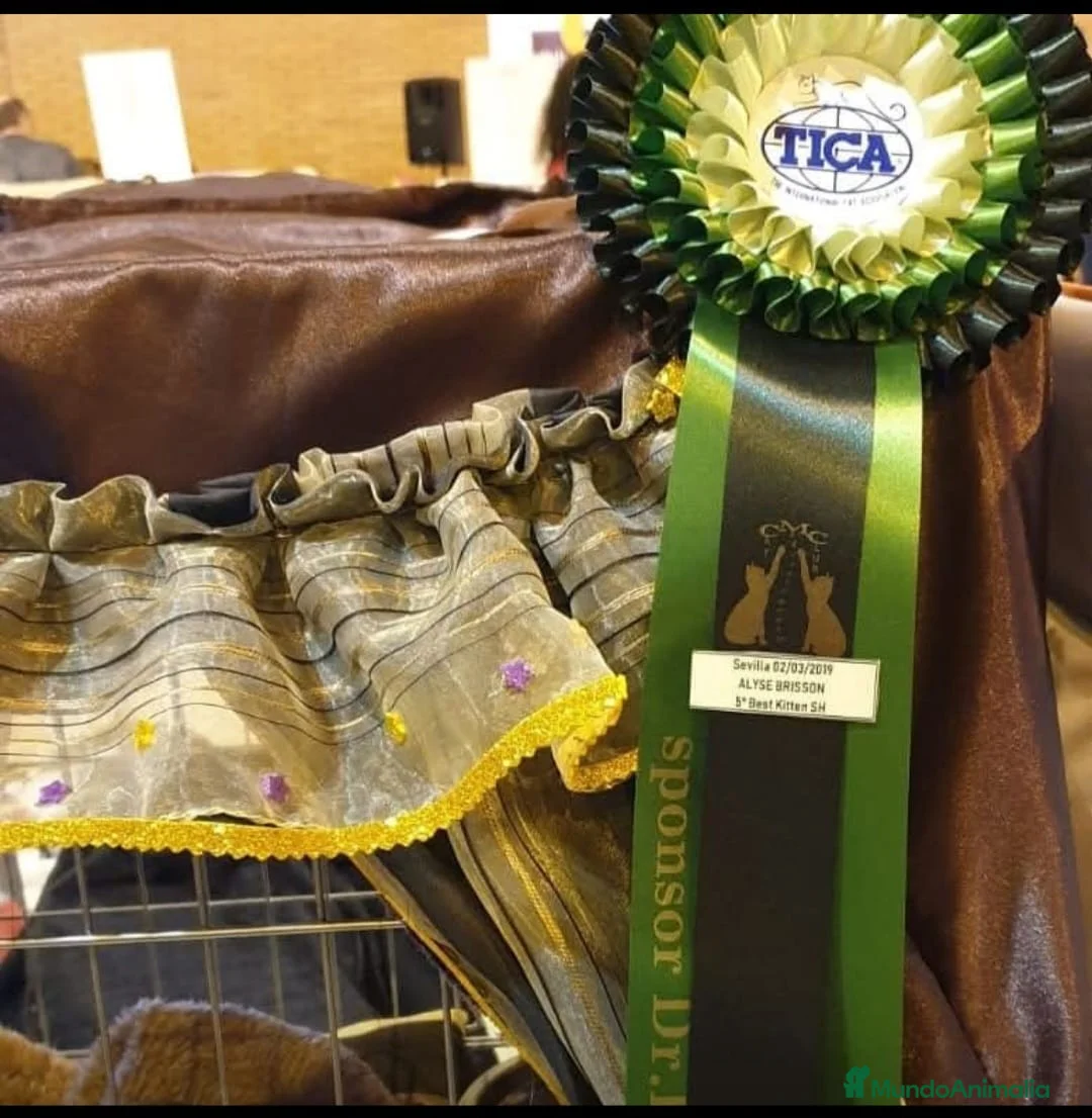 Imagen de galería {{count}}