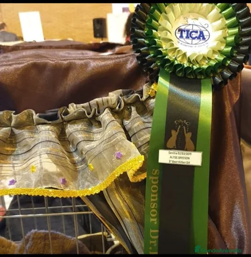 Imagen de galería {{count}}