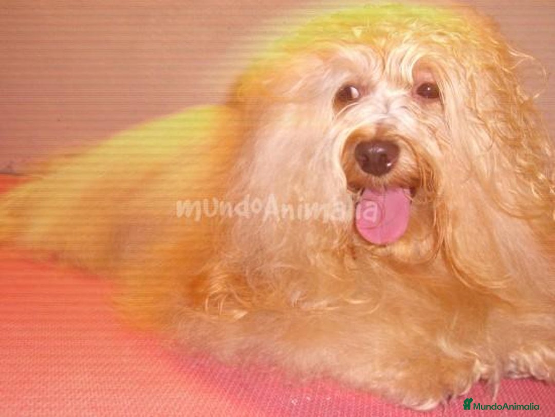 Imagen de galería {{count}}