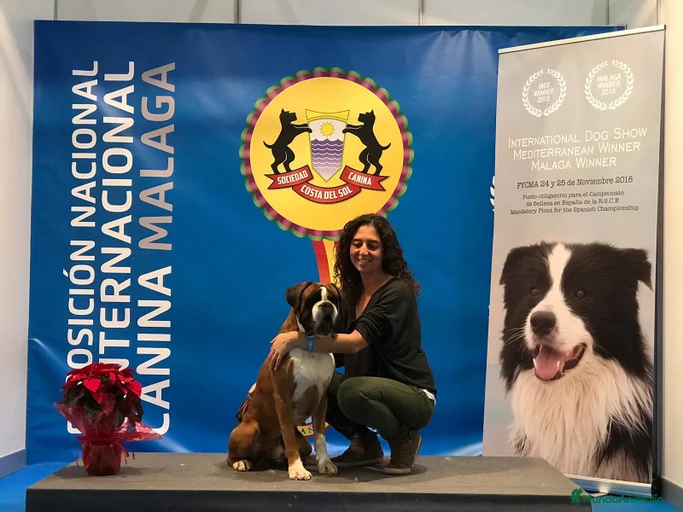 Imagen de galería {{count}}