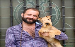Lakeland Terrier perros en venta: Infórmate sin compromiso  en Navarra - Imagen 1