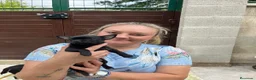 Chihuahua perros en venta: Preciosos chihuahuas  - Anuncio 7