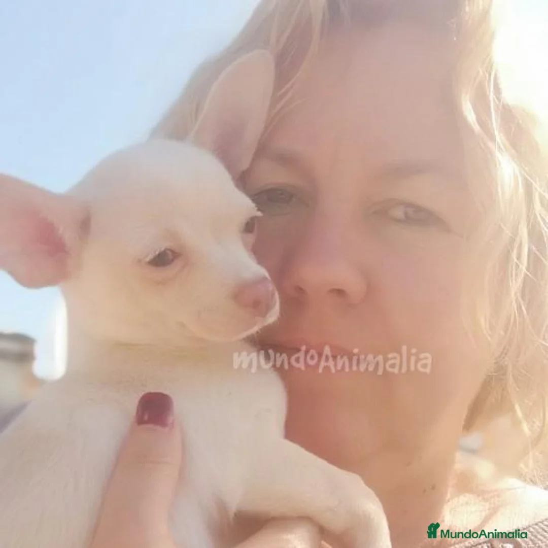 Imagen de galería {{count}}