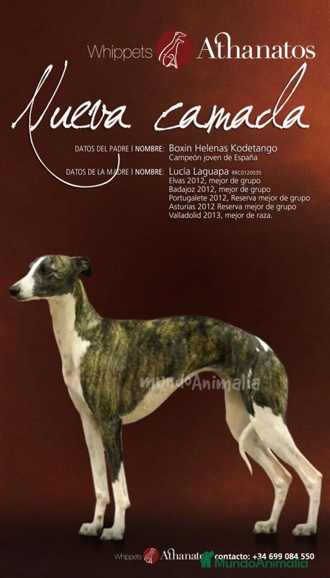 Imagen de galería {{count}}