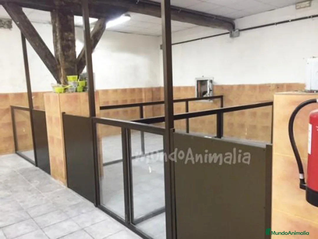 Imagen de galería {{count}}