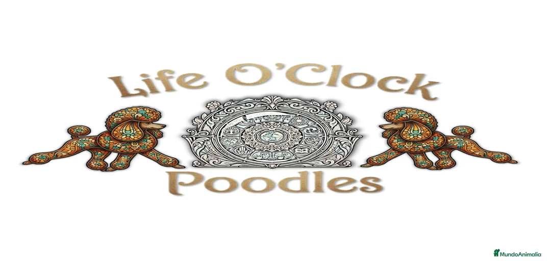 Imagen de galería {{count}}