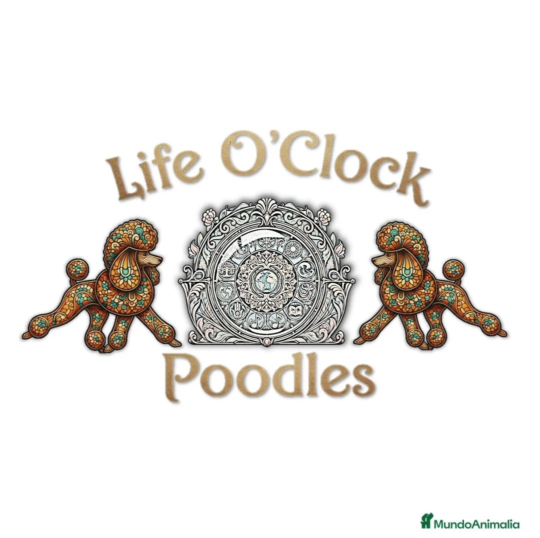 Imagen de galería {{count}}